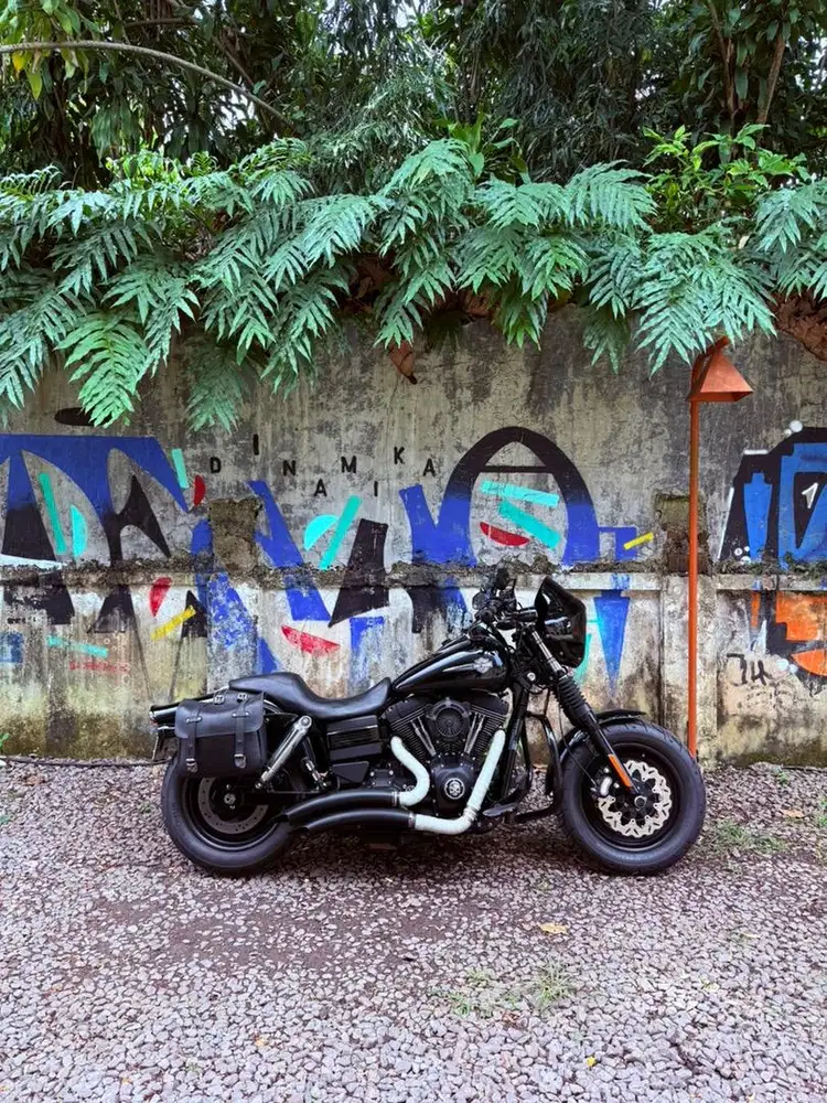 Harley Davidson Dyna Fatbob 2012