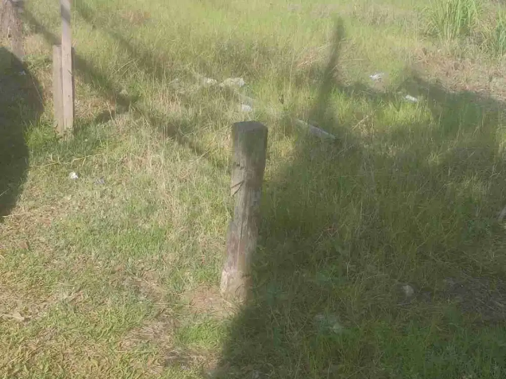TANAH STRATEGIS BERADA DI JALAN POROS