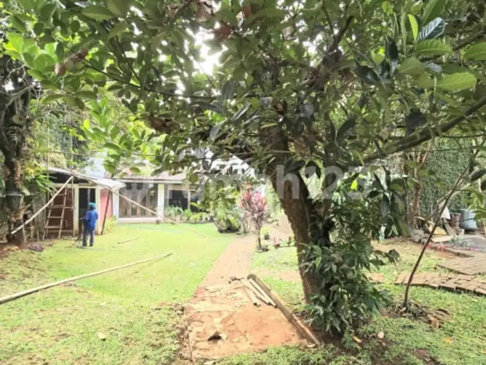 Rumah Dijual Kebun Luas Kuricang Bintaro