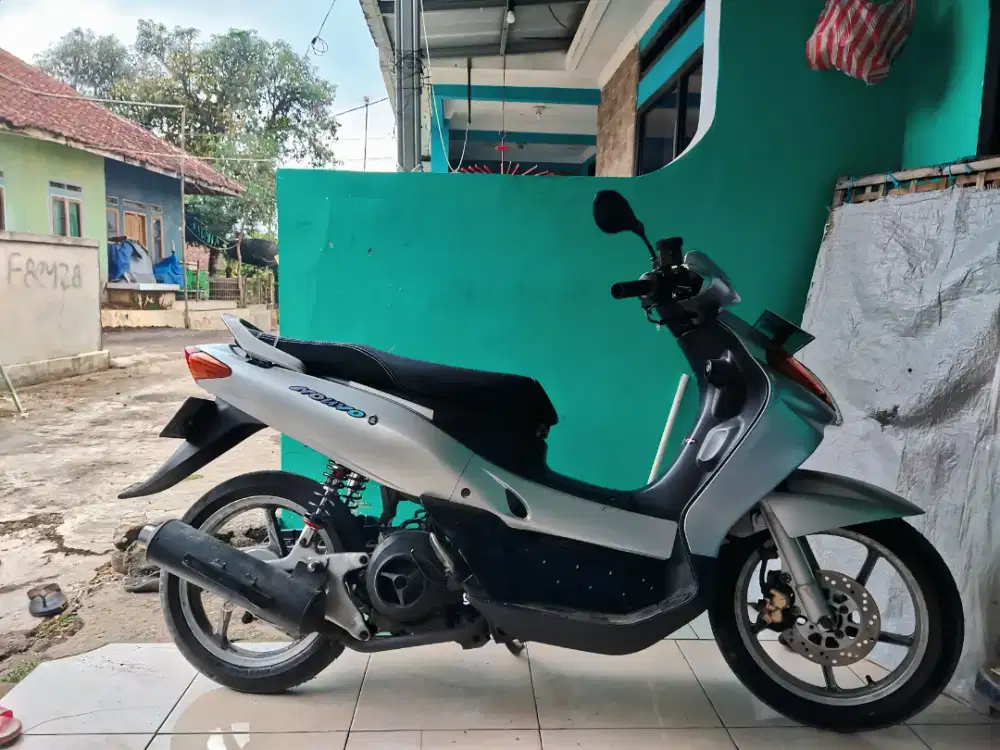 Jual santai Nuvo lele