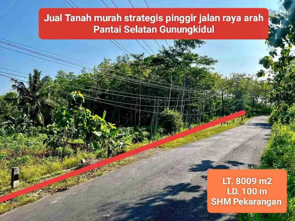 jual tanah pinggir jalan raya tepus gununkidul arah pantai selatan Gunungkidul