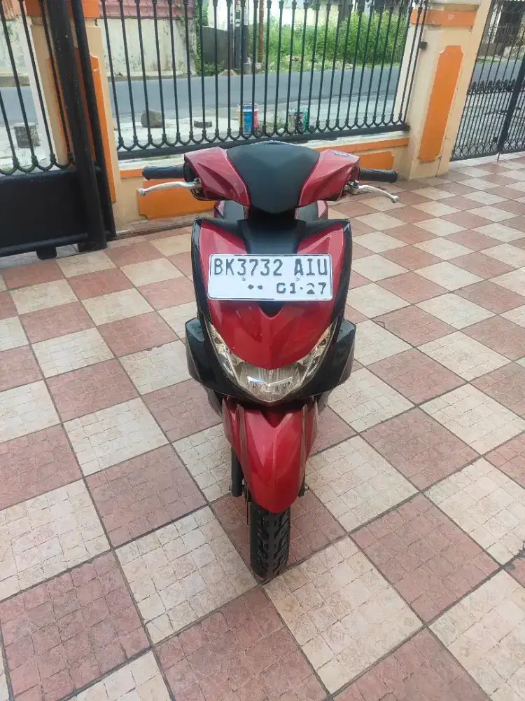 2019 Yamaha Freego
