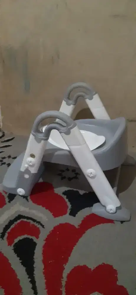 Training toilet