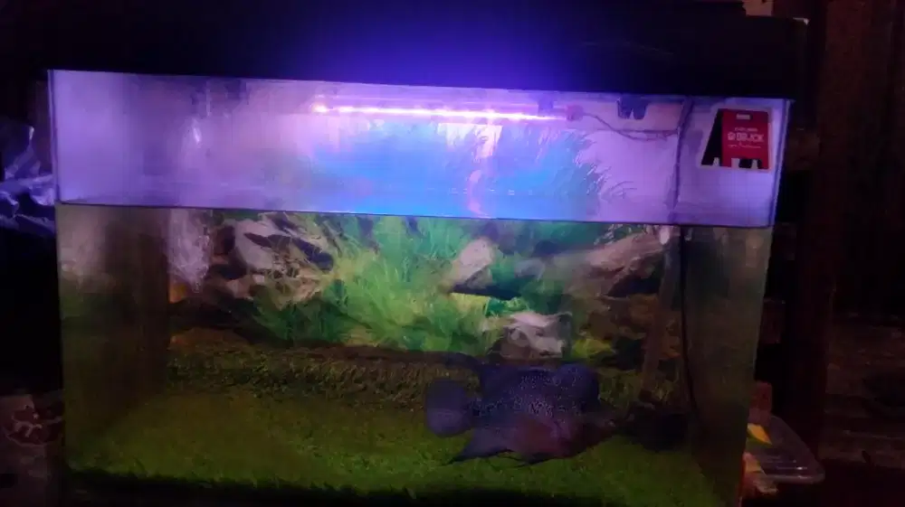 Di jual aquarium