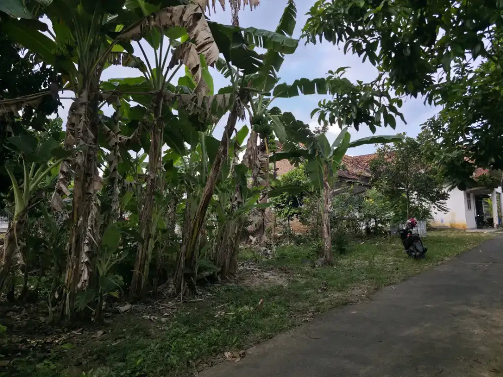 Tanah di kota metro