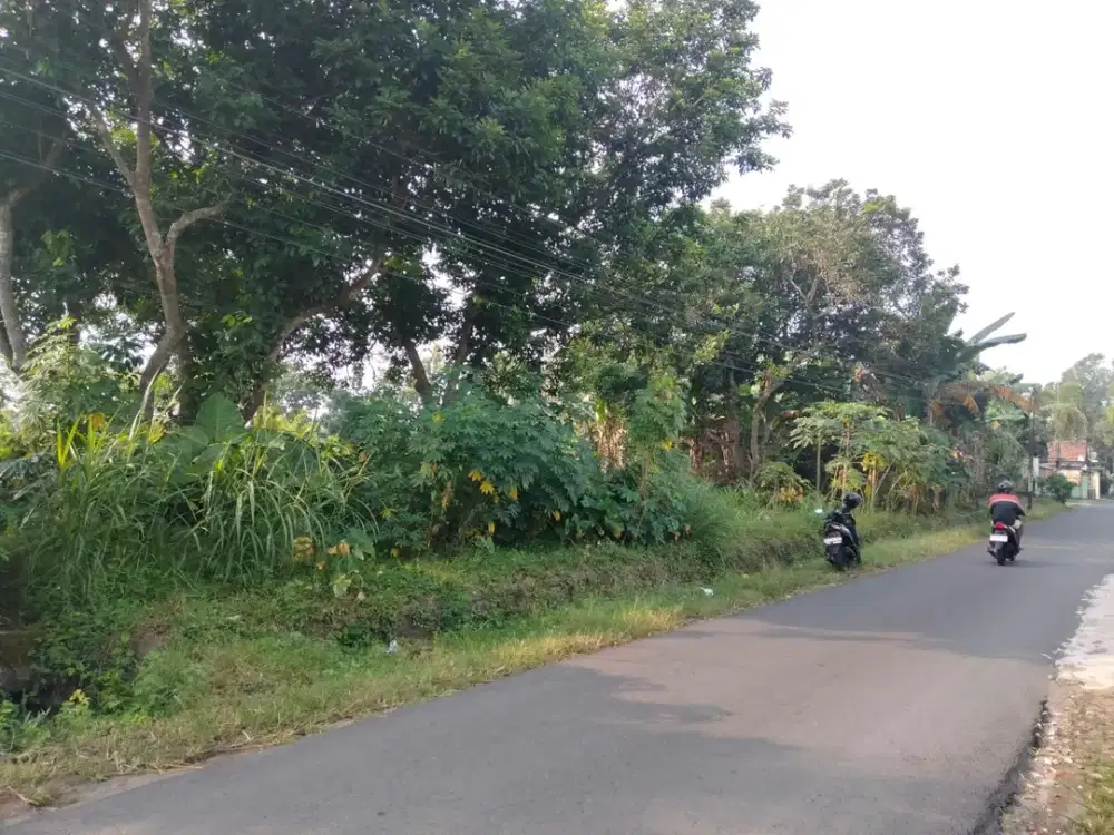 Di Jual Tanah Pinggir Jalan  Luas Ideal Dekat Jalan Raya Jeblog Talun Blitar