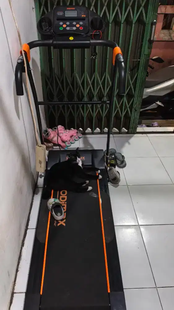 Jual alat olahraga bekas pakai bodimax