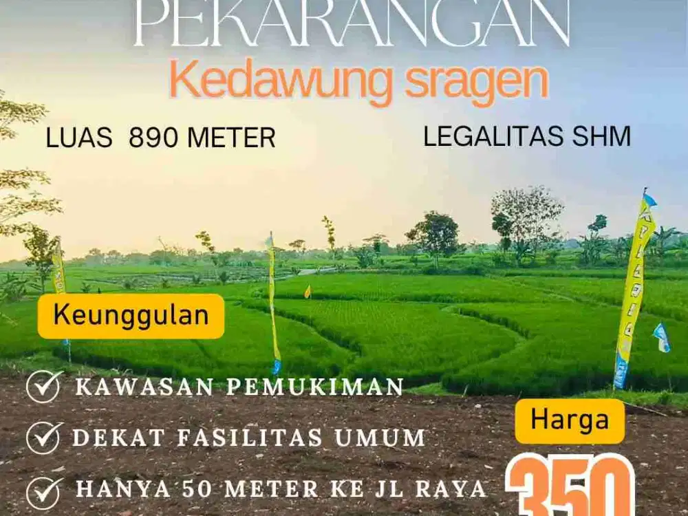 Tanah pekarangan View hamparan sawah Sejuk