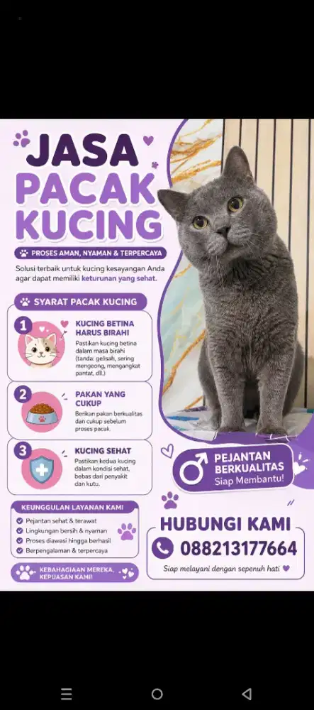 Pacak Promo dijamin