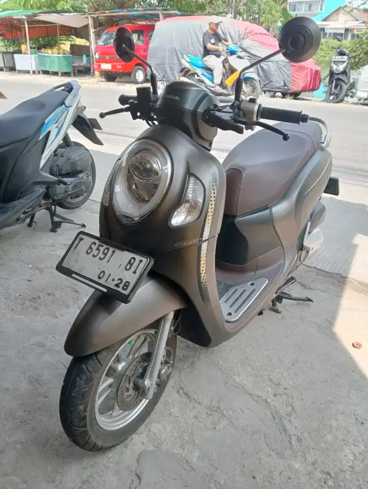 H. NEW Scoopy Stylish