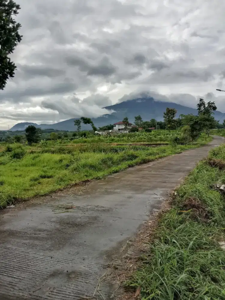 Tanah pacet candi watu view bagus
