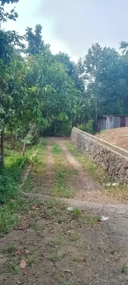 Tanah Murah Semarang nempel perumahan