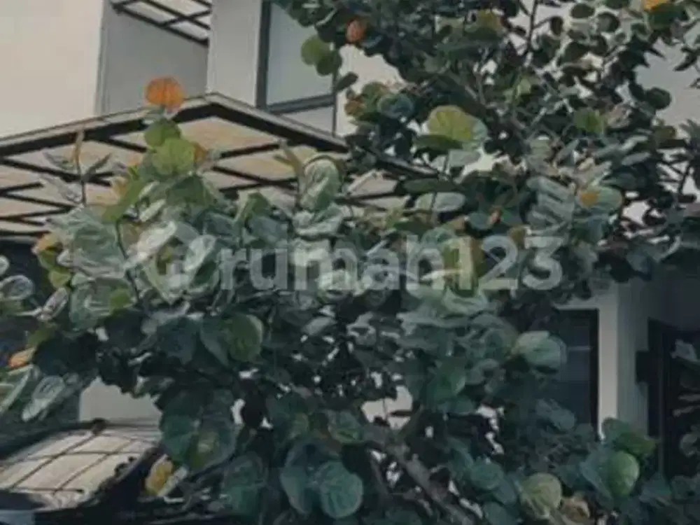 Rumah Dalam Cluster Pinggir Jalan Besar Jagakarsa