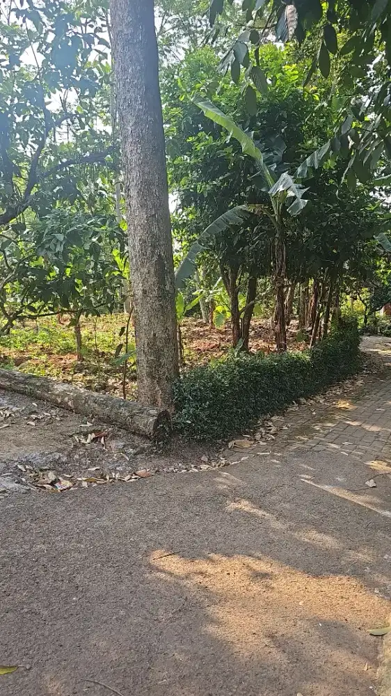 Tanah Murah Gunungpati Semarang