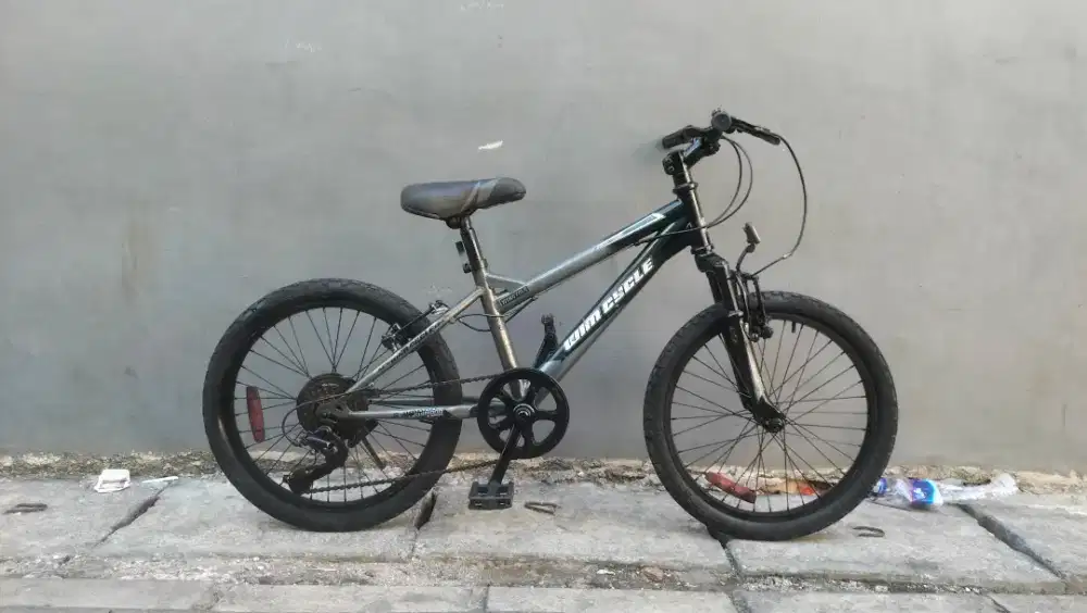 Sepeda mtb wimcycel