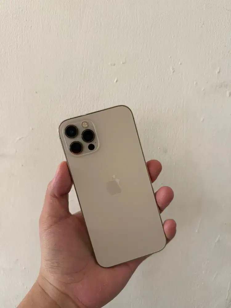 iPhone 12Pro 256GB Internasional