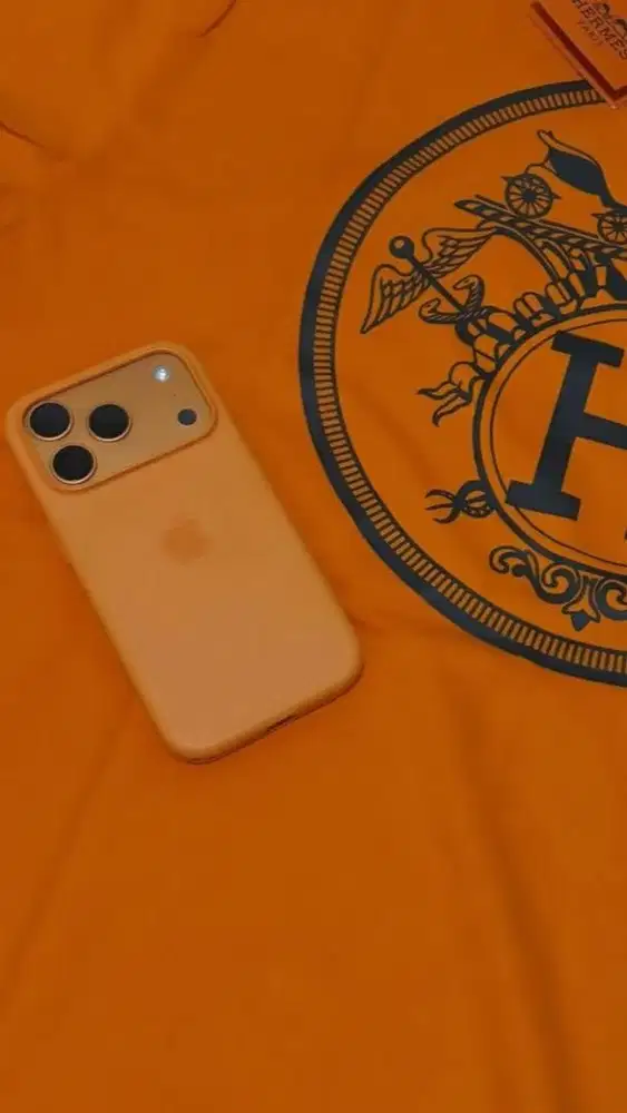 iphone XS MAX upgraded 17 promax