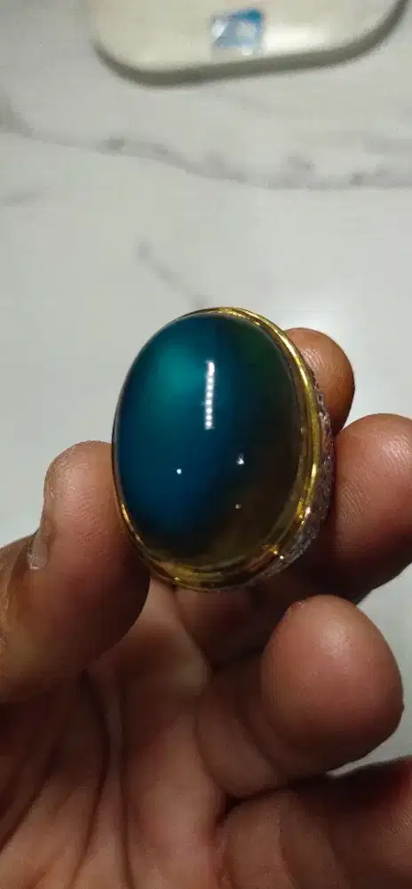 Bacan Doko Selasih Material CokMer Kualitas Kontes Size Jumbo