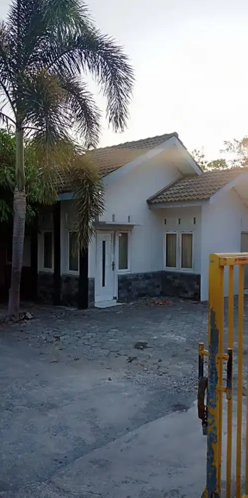 Disewakan Rumah per Tahun