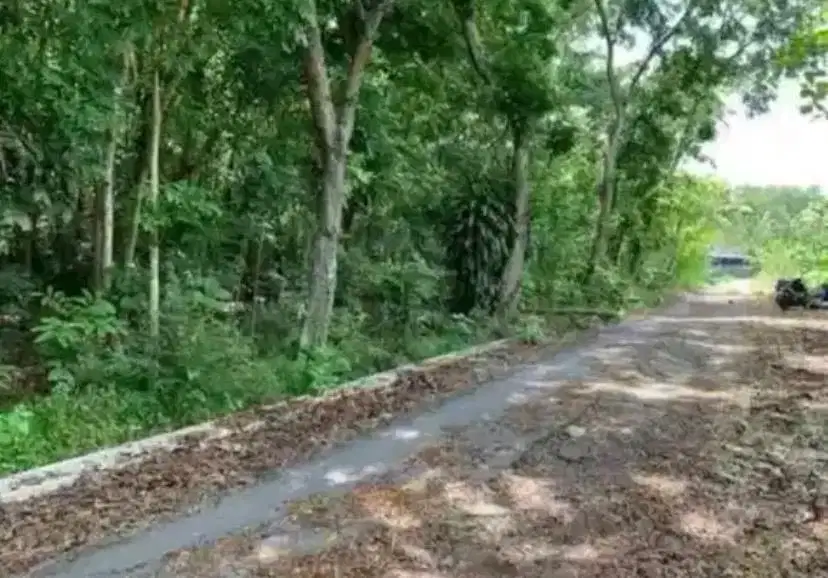 Tanah Pekarangan Strategis Hadap Jalan Lebar
