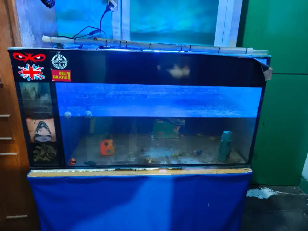 AQUARIUM SECOND TAKE ALL TINGGAL ISI IKAN DAN AIR