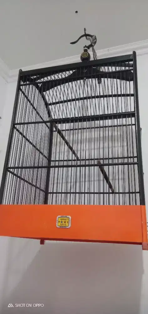 Jual pelan sangkar merk Oriq no 1 nett