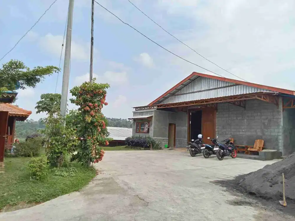Kebun dan Peternakan Puyuh Ngajum Malang