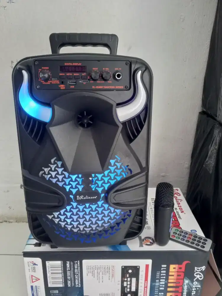 Speaker karaoke 8 in wireless