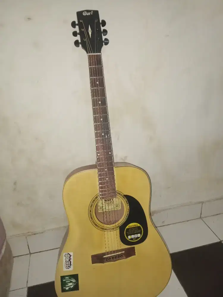 Gitar Akustik Custom Cort - Fret Stainless & Senar Elixir 0.10