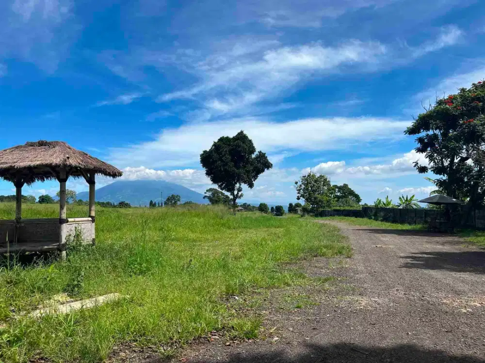 Tanah di cisarua puncak bogor luas 500 meter