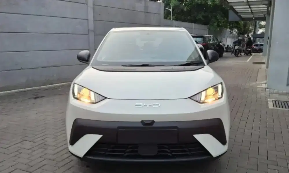BYD ATTO 1 STANDART