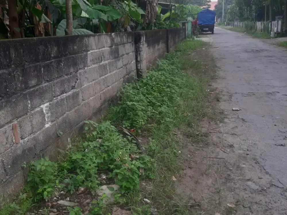 Di Jual Tanah Pekarangan di Sumberjo Sanankulon Blitar