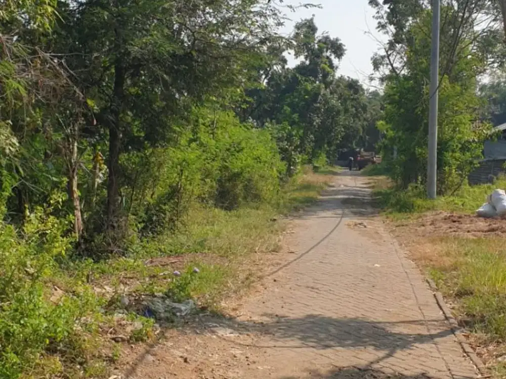 DIJUAL LAHAN – BANJAR TANGGUL, PUNGGING, MOJOKERTO