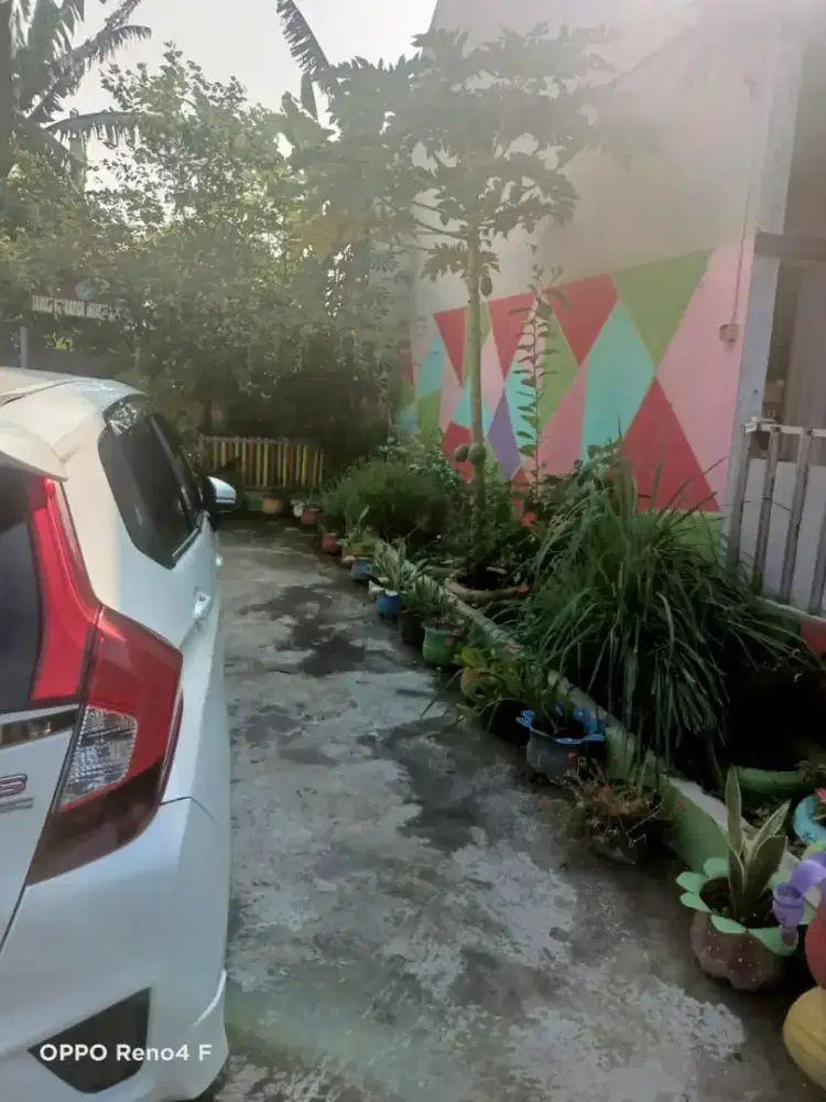 Cari kerja irt atau momong