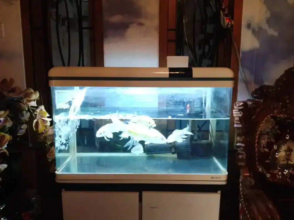 AQUARIUM LED PAKET MEJA