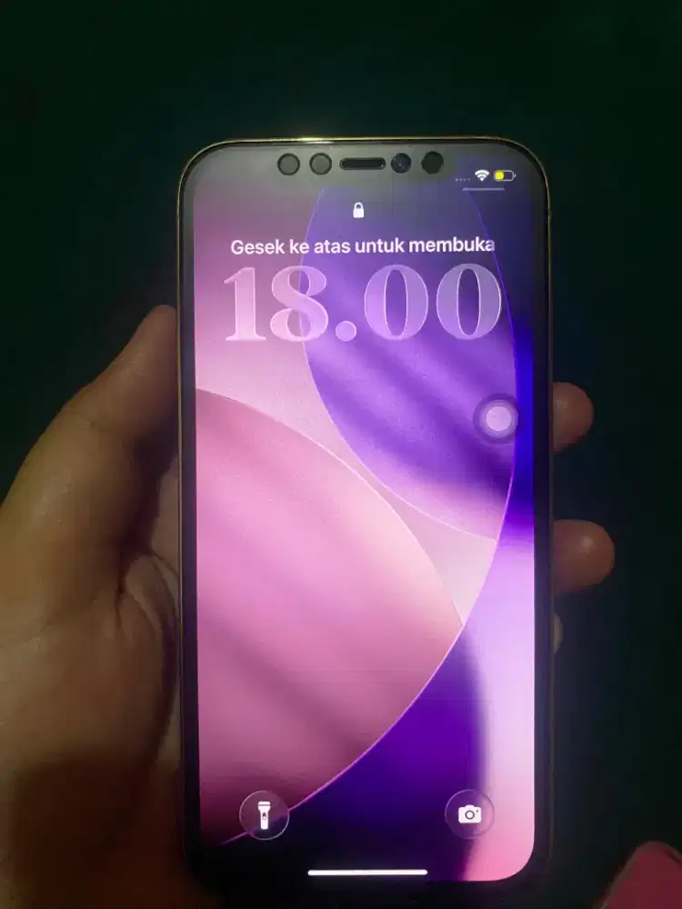 IPHONE 12 PRO INTER PEMAKAIAN PRIBADI