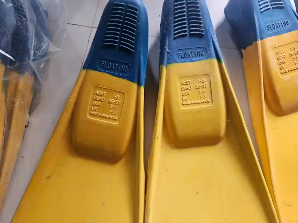 vins kaki katak
