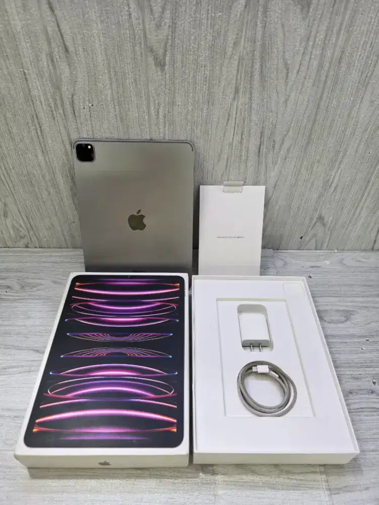 IPAD PRO M2 11INC 256GB GRAY WIFI INTER FULLSET