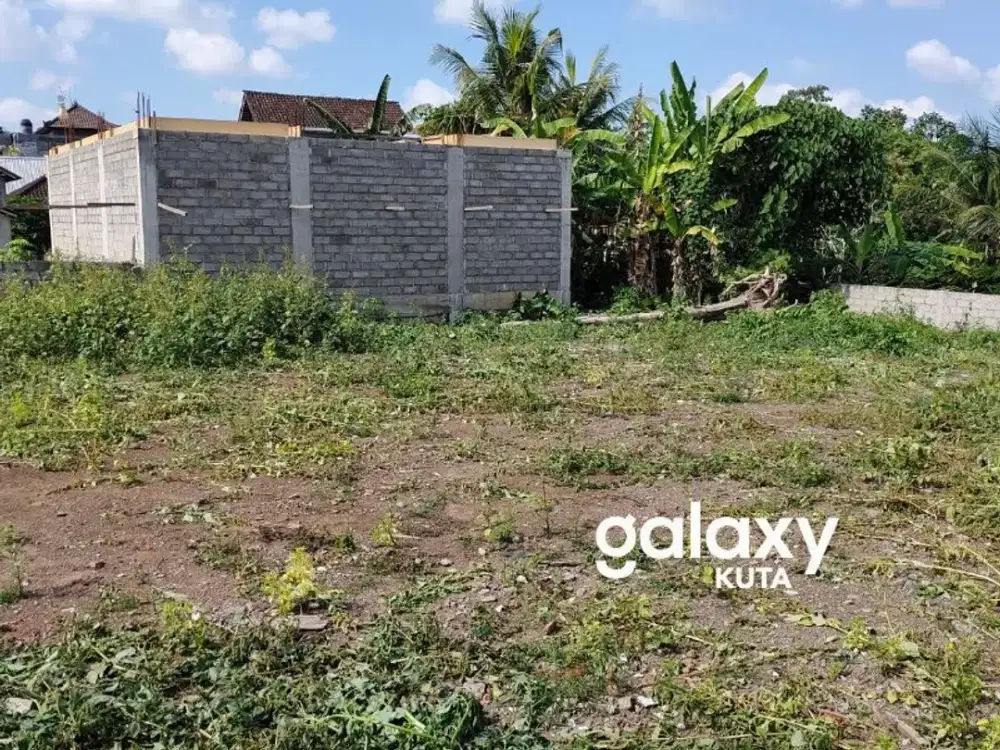DISEWAKAN TANAH 10 ARE DI PANDAK GEDE TABANAN DEKAT NUANU