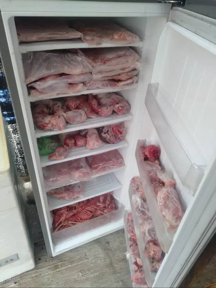 Grosir Daging Kelinci Utuh untuk pakan hewan Daging Kelinci Fillet