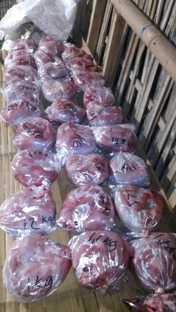 Daging Kelinci Giling Murah untuk Pakan Kucing, Anjing & Reptil