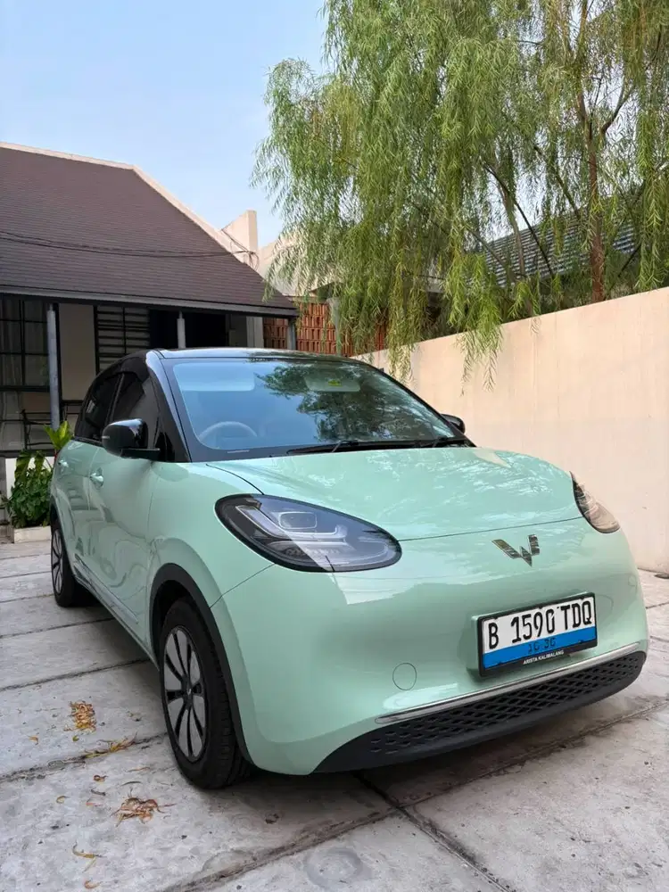 New Binguo EV Pro 2025 Like New Very Low Km