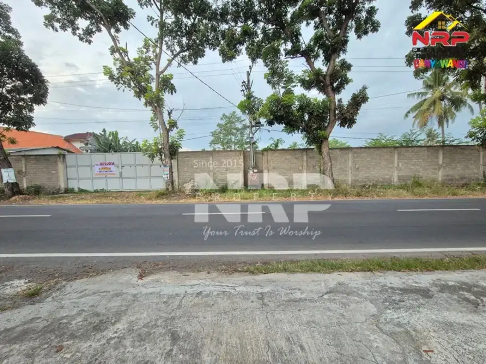 Dijual Tanah Siap Bangun di tepi Jl. Lingkar Ketapang - Banyuwangi