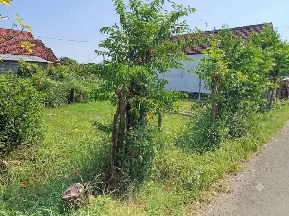 Dijual Tanah Kavling Lokasi Sangat Strategis