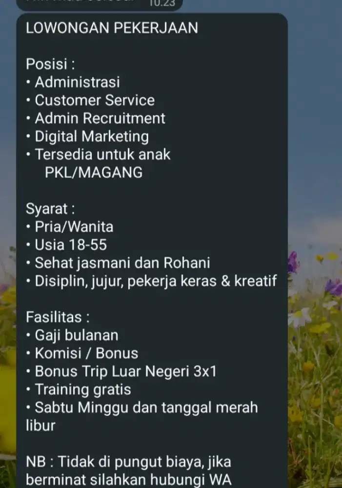 Segera membutuhkan karyawan