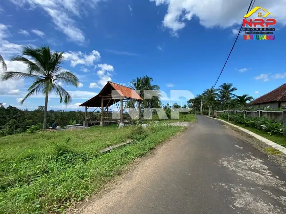 Dijual tanah sawah murah, view gunung, berada dikawasan pariwisata, Licin - Banyuwangi