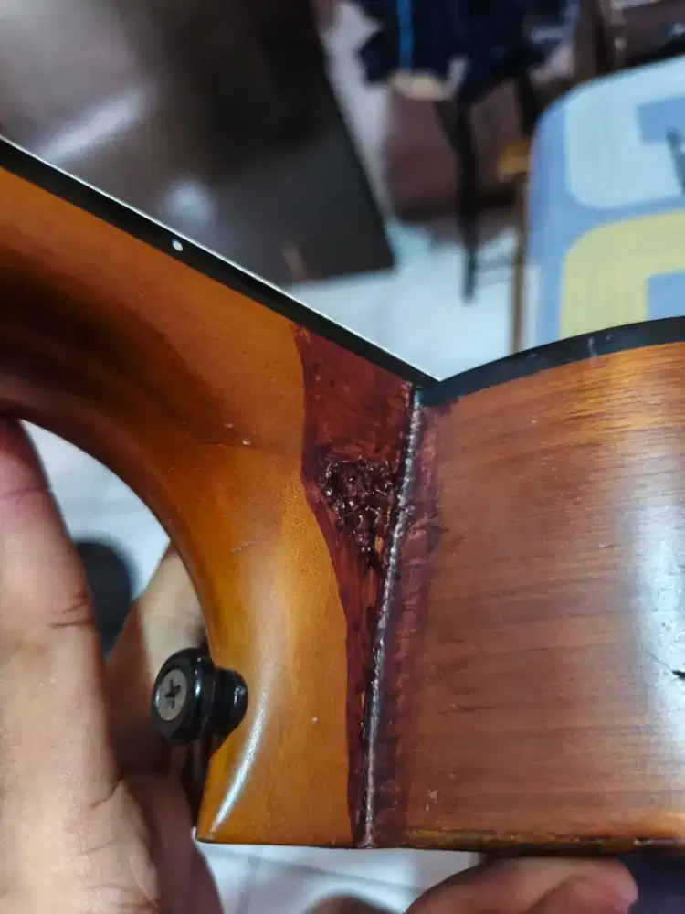 gitar nylon valencia  vc201 original