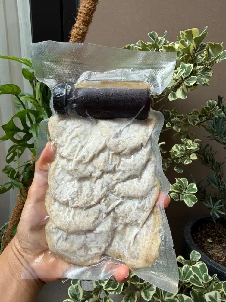 Jual Pempek Palembang