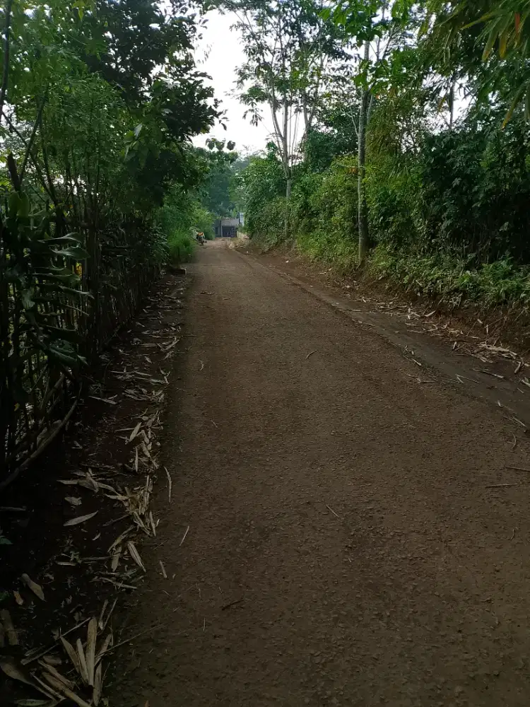 Dijual lahan plus bangunan rumah luas 3000m