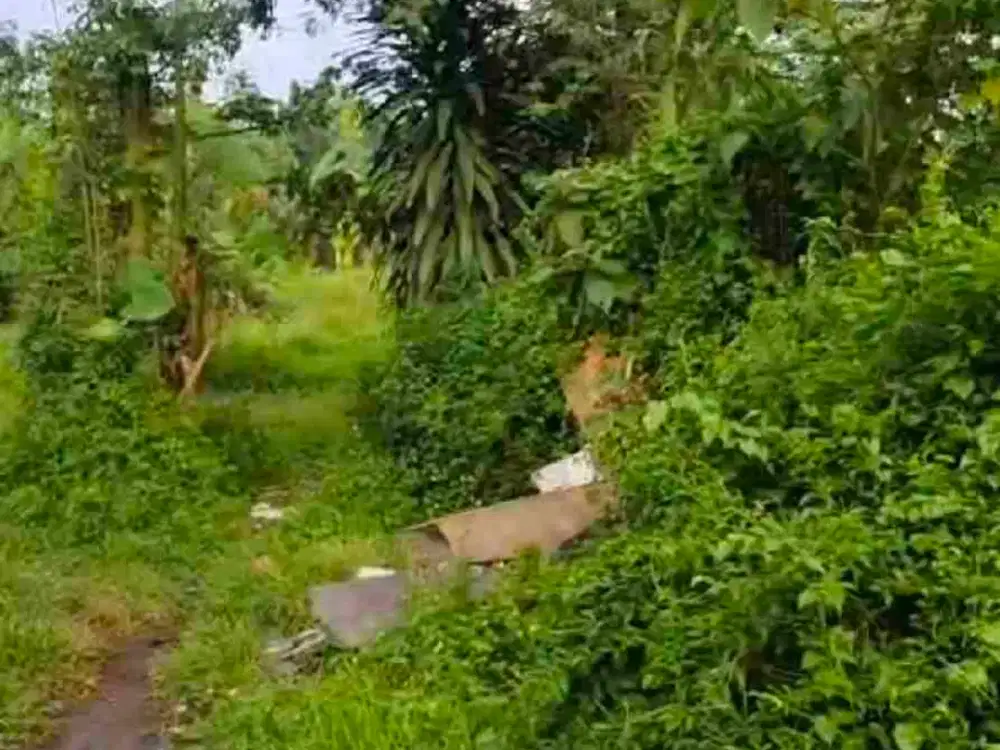 JUAL TANAH DI LEGOK KABUPATEN TANGERANG